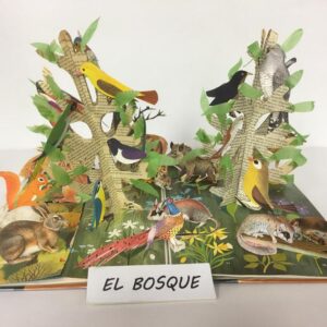 El bosque (febrero 2018)