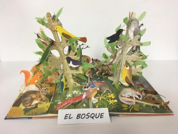 El bosque (febrero 2018)