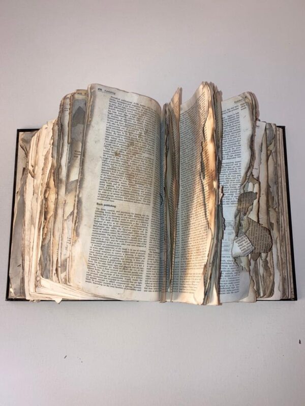 Fahrenheit 451