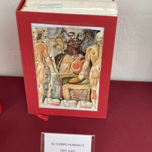 El Cuerpo Humano II