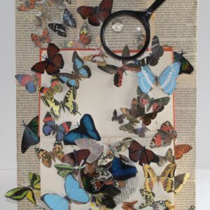 Mariposas (noviembre 2017)
